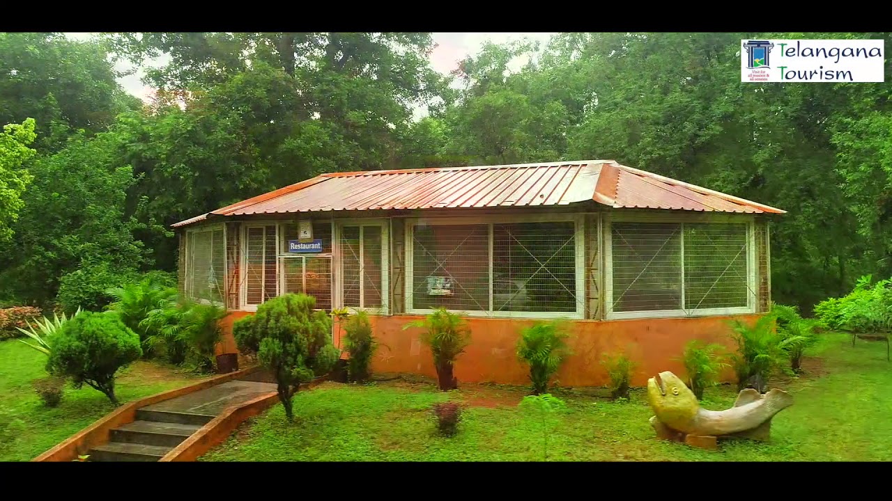 Glass and tented cottages at the Haritha eco resort near Pakhal Lake