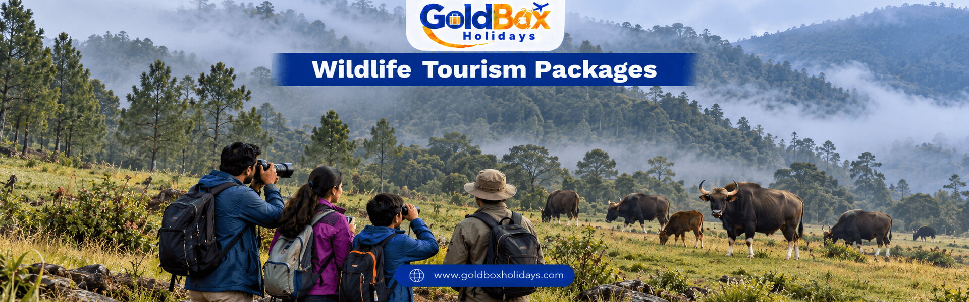 Travellers watching Indian gaur grazing on a misty Kodaikanal meadow, wildlife tours