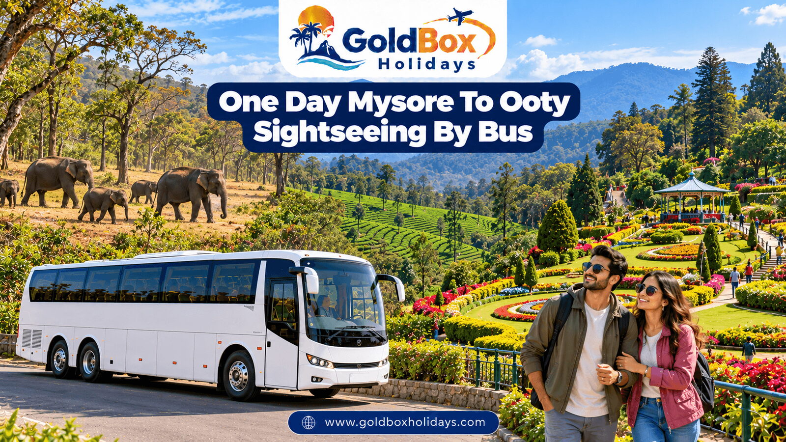 One Day Mysore To Ooty Sightseeing By Bus