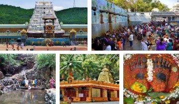 Tirumala Local Temples Darshan Tour Package from Tirupati or Tirumala by Car