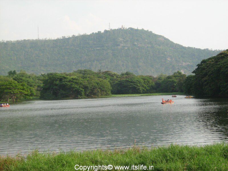 Chamundi Hills