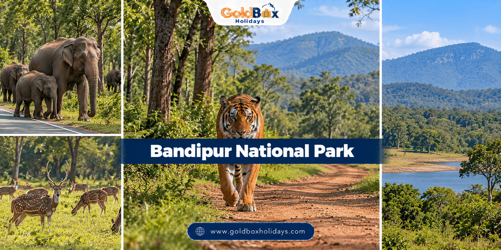 Bandipur National Park - views of Bandipur National Park