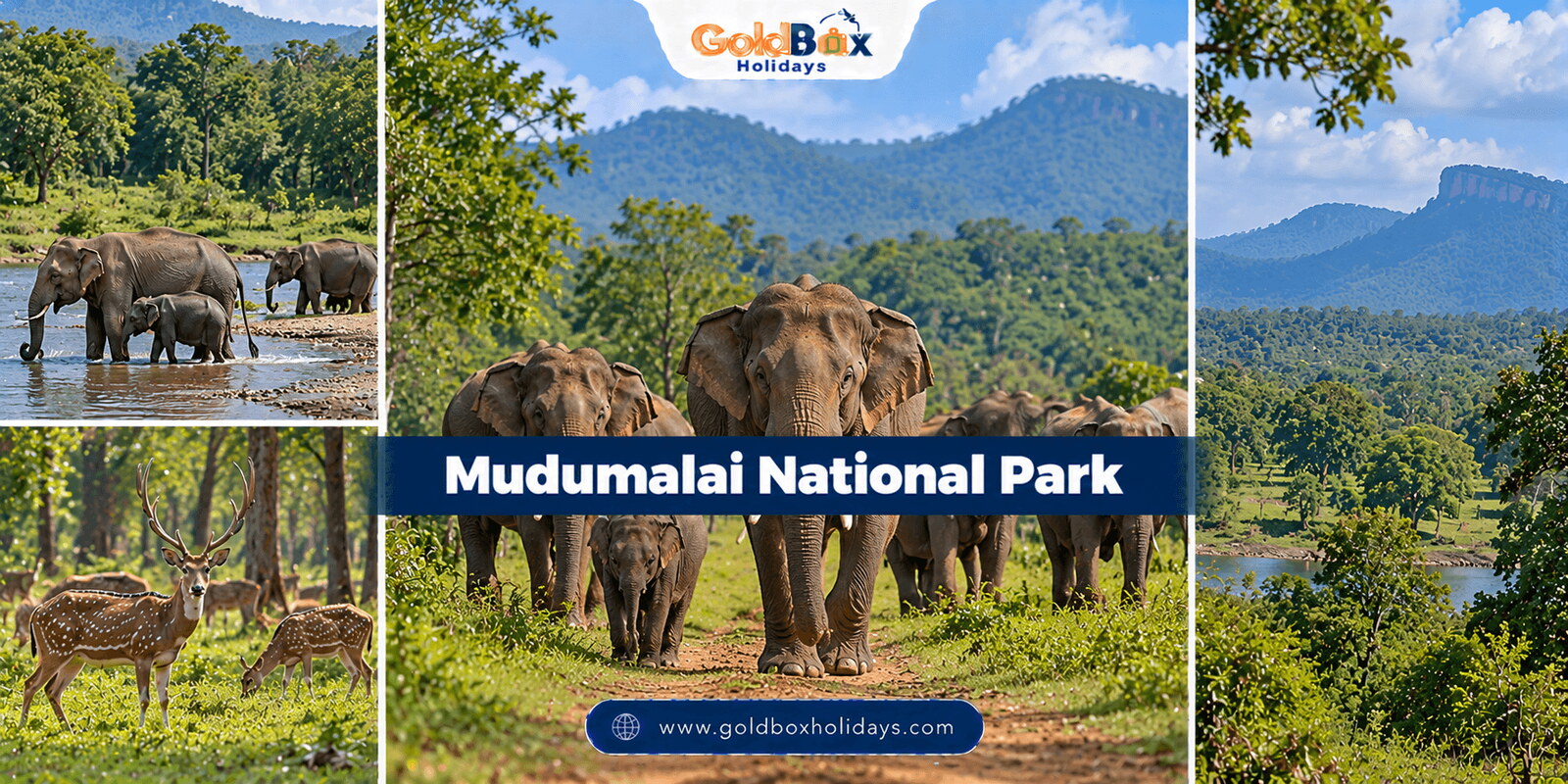 Mudumalai National Park - views of Mudumalai National Park