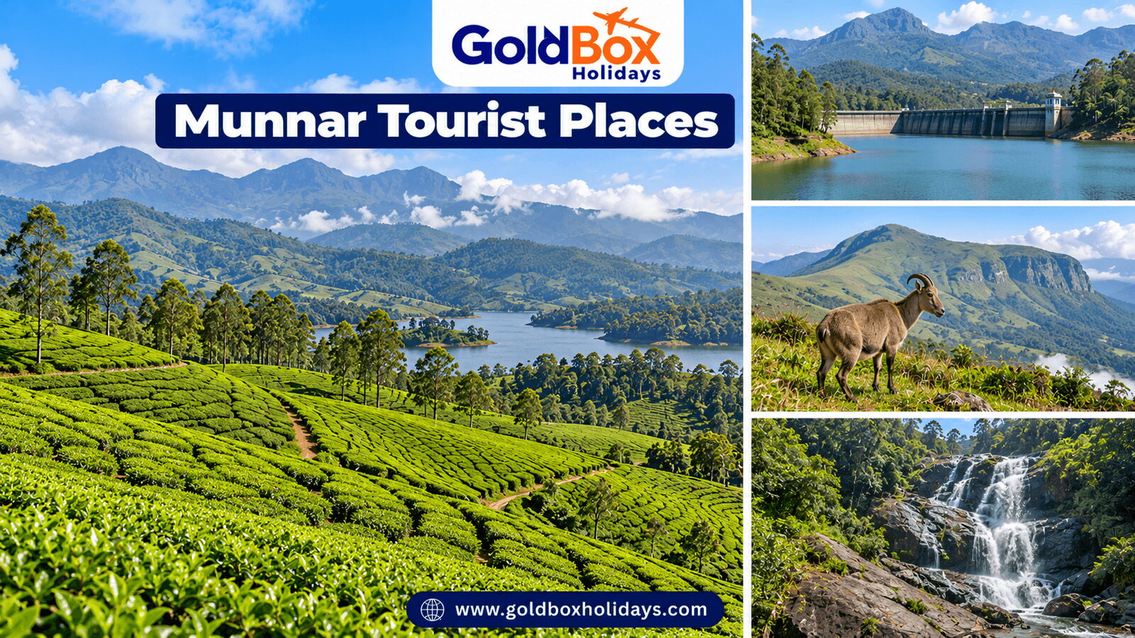 Tourist places in Munnar: tea gardens on the hills of Munnar, Mattupetty Dam, Eravikulam National Pa