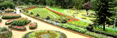 Ooty Botanical Garden